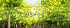 季节怎么分，3种方式季节划分