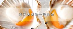 扇贝黑黑的一坨是啥，附保存和清洗方法
