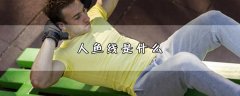 人鱼线是什么(人鱼线简介)
