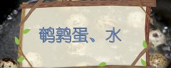 鹌鹑蛋煮多久(附鹌鹑蛋的做法)