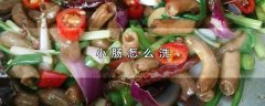 小肠怎么洗(清洗小肠方法)