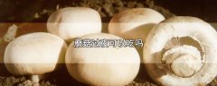 蘑菇过夜可以吃吗，附：蘑菇保存方法