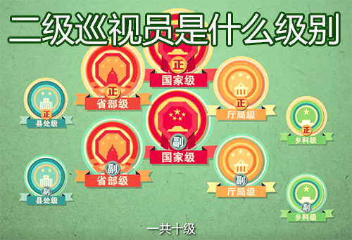 二级巡视员是什么级别，巡视员的级别和任职条件
