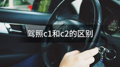 c1和c2有什么区别，两种驾照的三大主要区别