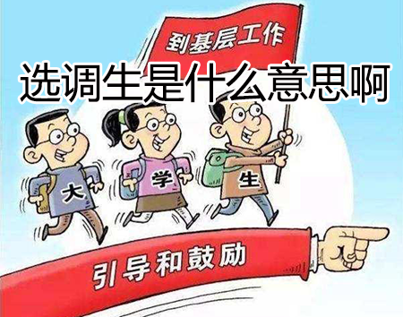 选调生是什么意思啊