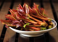 香椿的功效与作用，吃香椿的七大好处