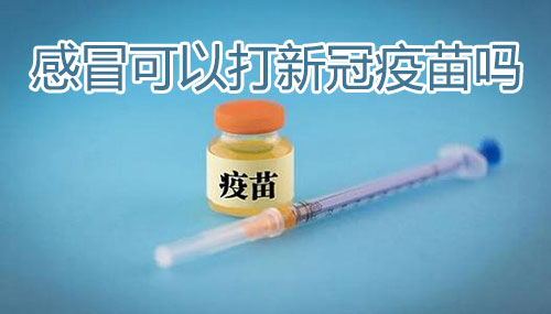 感冒可以打新冠疫苗吗