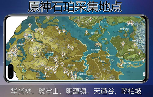 原神石珀采集地点,附采集地点分布