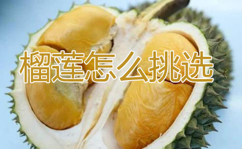 榴莲怎么挑才是最好的，8个挑选好的榴莲方法