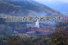 五台山在哪个省哪个市(五台山简介)