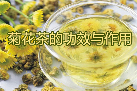 菊花茶的功效与作用