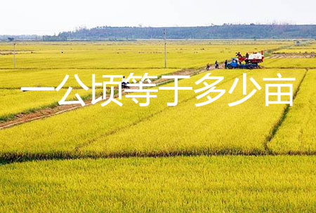 一公顷等于多少亩