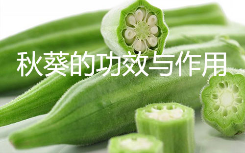 秋葵的功效与作用