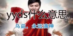 yyds什么意思，网络流行语yyds的含义