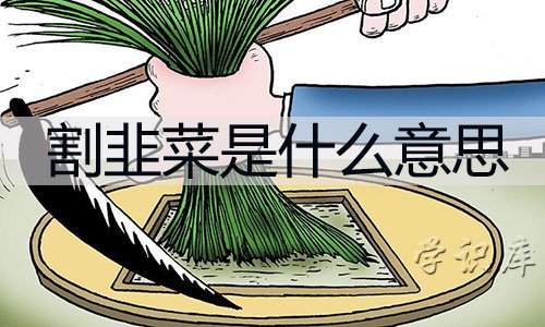 割韭菜是什么意思，解释割韭菜的含义