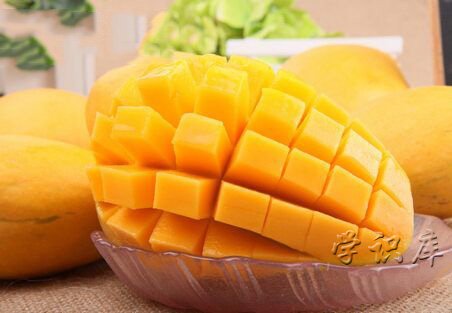 芒果是热性还是凉性