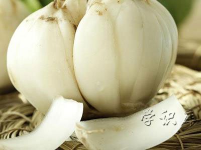 百合的功效与作用，吃百合的九个好处