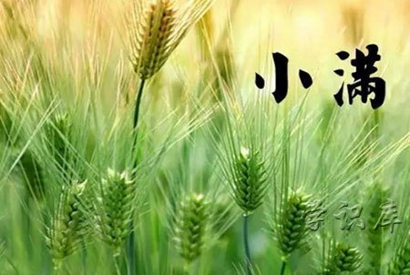 小满是什么季节