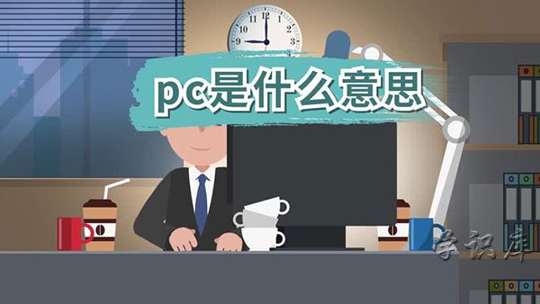 pc是什么意思，解释pc端的含义