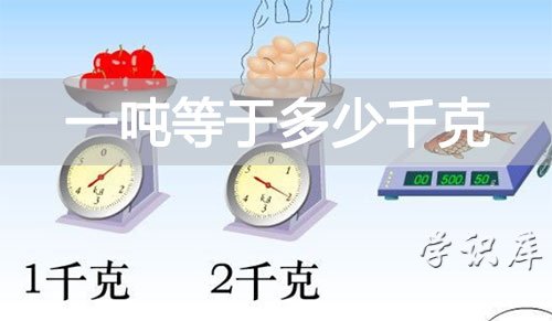 一吨等于多少千克(一吨是多少斤少公斤)