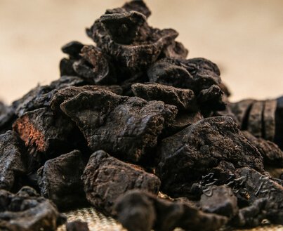 何首乌的功效与作用