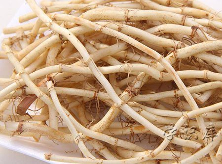 鱼腥草的功效与作用，吃鱼腥草的9大好处