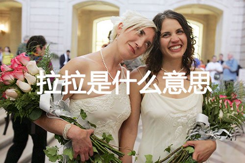 拉拉是什么意思，拉拉的含义