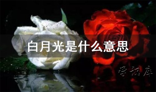 网络用语白月光的意思