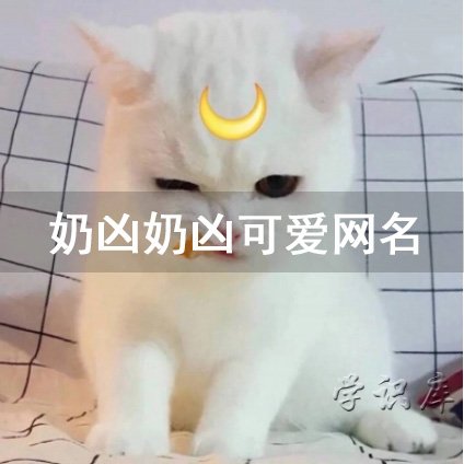 奶凶奶凶可爱网名