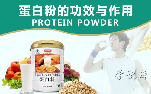 蛋白粉的功效与作用