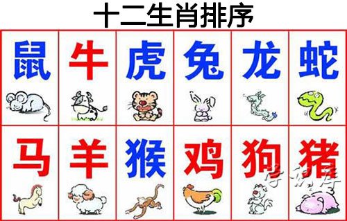 十二生肖排序，生肖表十二顺序