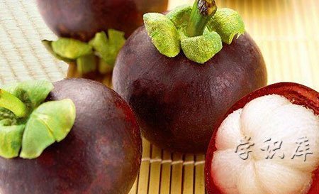 山竹的功效与作用