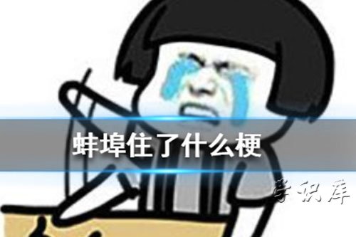 蚌埠住了什么梗