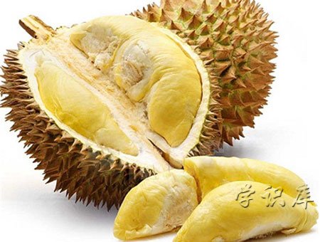 榴莲不熟要怎么放才能熟，5种催熟榴莲的方法