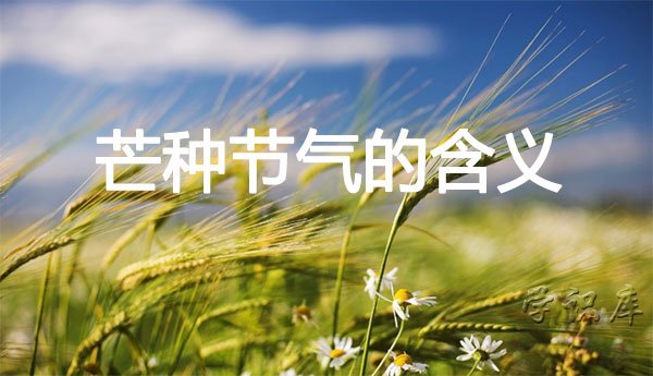 芒种节气的含义，芒种的简介与习俗