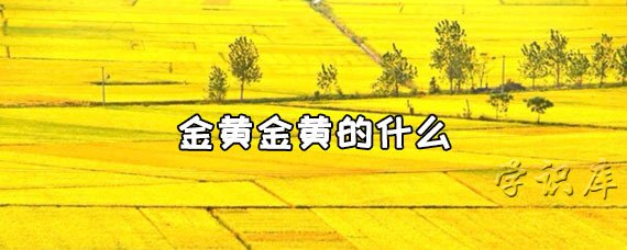 金黄金黄的什么(语文金黄金黄填词造句)