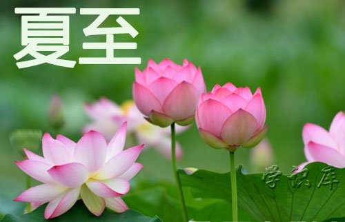 夏至是什么意思(夏至由来和习俗)