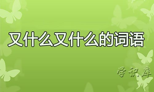 又什么又什么的词语