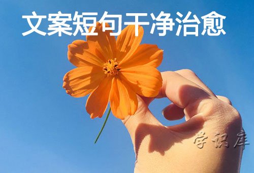 文案短句干净治愈，34个干净治愈的句子