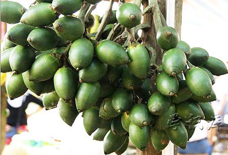 槟榔的功效与作用，吃槟榔的8个作用