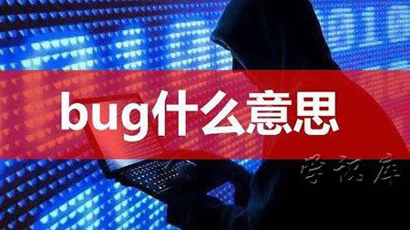 bug是什么意思，解释bug的含义