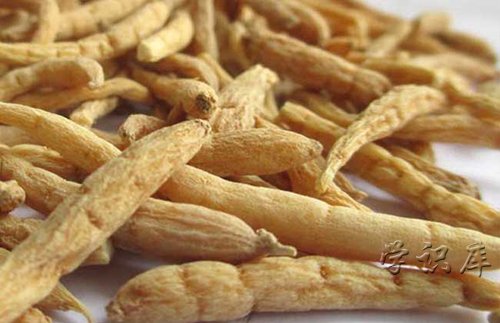 太子参的功效与作用，吃太子参的的6个好处