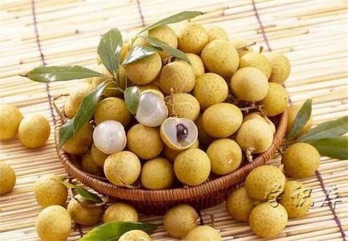 龙眼的功效与作用