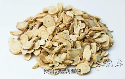 黄芪的功效与作用，10个黄芪的功效作用与主治