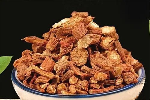 丹参的功效与作用