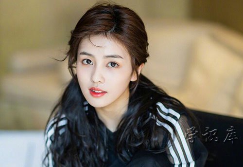 白鹿个人资料(白鹿个人简历介绍)