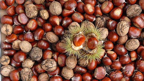 板栗的功效与作用，吃板栗的8个好处