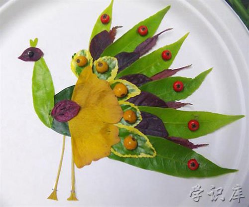 树叶手工粘贴画(5种树叶粘贴画图)
