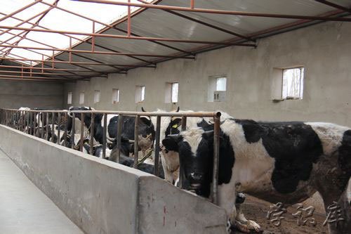 十大暴利养殖有哪些