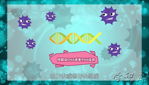 病毒的主要化学成分是什么，病毒的化学组成